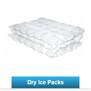 ice packs for esky