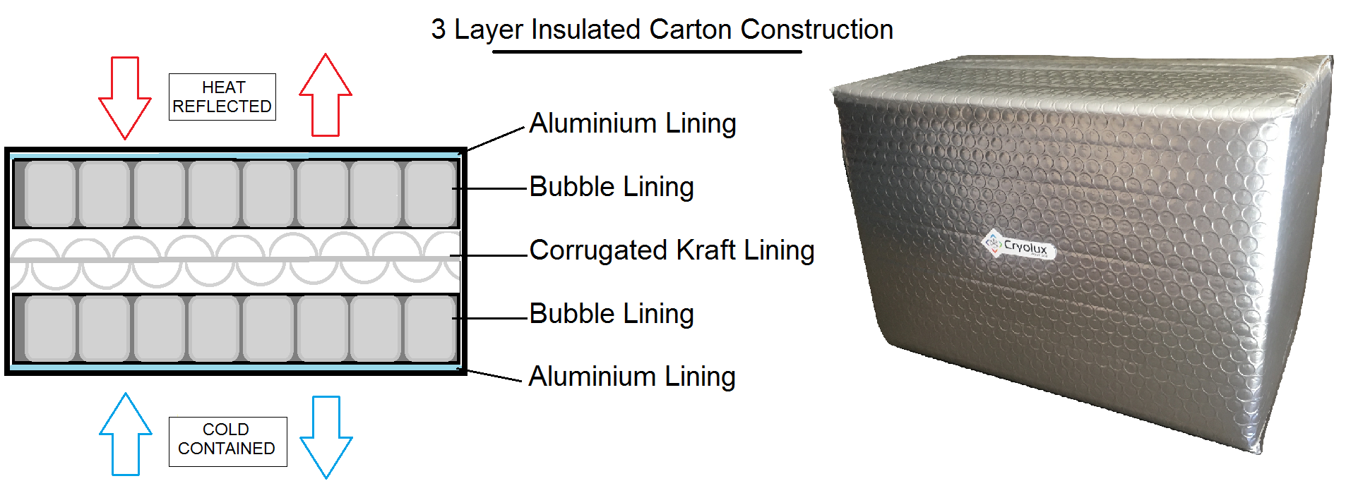 Foam Coolers Shippers for Cold Chain Food Shipping